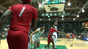 falls men's basketball GIF by GreenWave