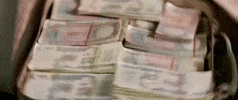 Shahrukh Khan Money GIF