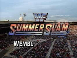 wwe sports wwe wrestling 1992 GIF