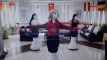 bilisimhocasi robot ada robotik hostes GIF