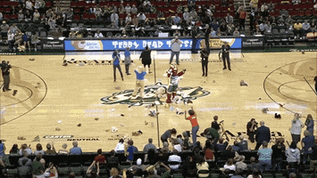 seattle storm support GIF by WNBA