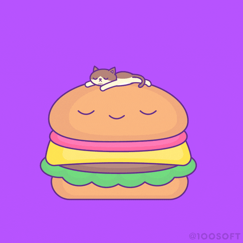 Cat Kitty GIF by 100% Soft