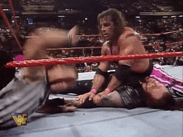 WWE sports wwe wrestling summerslam GIF