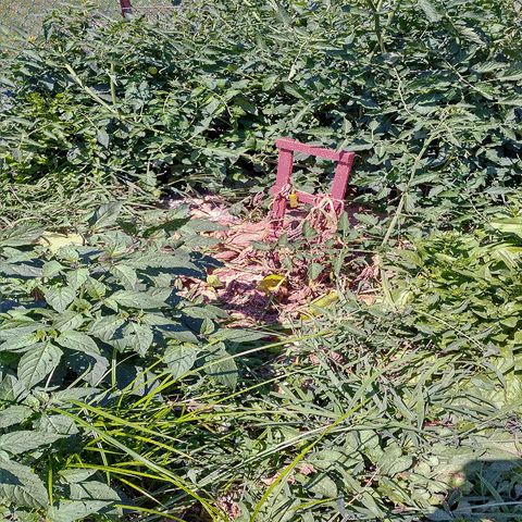 Tepbian_Kord art pixel pixelart nature GIF