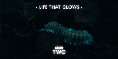 200.gif?cid=fc005b08b4c297e0bb02c1d6940a8605f862f7dbfaf96ee6&rid=200.gif&ct=g