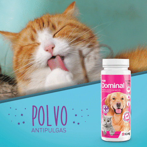 revistamascotitas  GIF