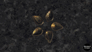 Https://Www.Behance.Net/Bhuvneshkumarsingh GIF