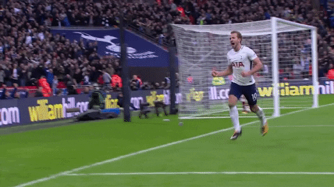 Harry Kane Football GIF by Tottenham Hotspur - Find & Share on GIPHY