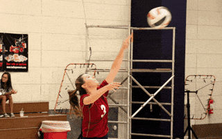 Lyon College GIF