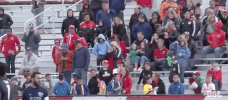 fans GIF by NYRB II
