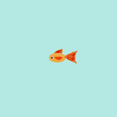 Illustrated gif. A goldfish swims in circles against a cerulean background, as if it is in a fishbowl.