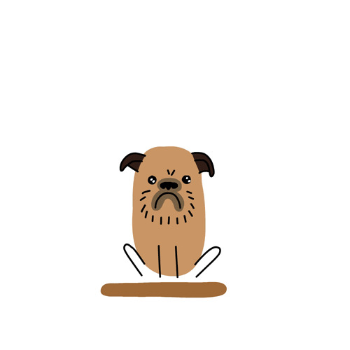 Brussels Griffon Dog GIF by CsaK Find & Share on GIPHY