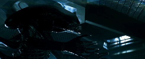 digital-culture  GIF
