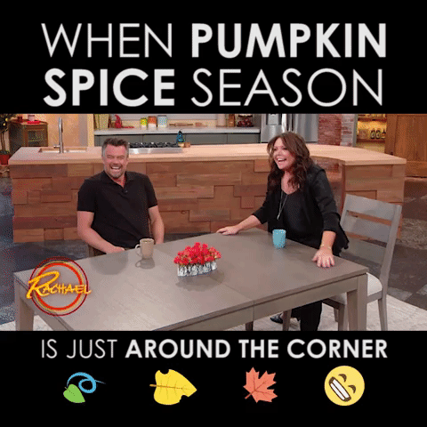 rachaelrayshow fall season rachael ray pumpkin spice GIF