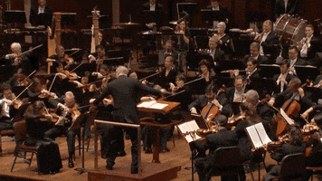 kennedycenter orchestra classical music symphony nso GIF