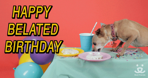 Chihuahua-birthday GIFs - Get the best GIF on GIPHY