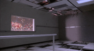 200.gif?cid=fc005b08176157d07bd7188bda7c412856b8433b834e696f&rid=200.gif&ct=g