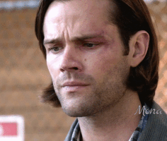 sammy supernatural 10x2 reichenbach GIF