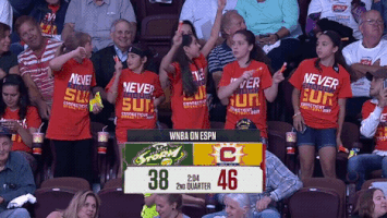 connecticut sun GIF by WNBA