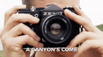 canyons GIF by ROZES