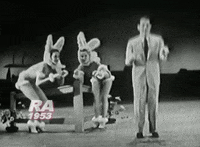 Hop Hop Hop GIFs - Find &amp; Share on GIPHY