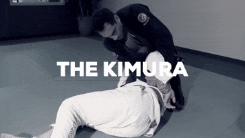 Submission Bjj GIF by ROYDEAN