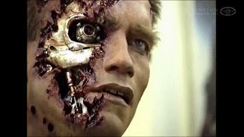 Arnold Schwarzenegger Terminator GIF