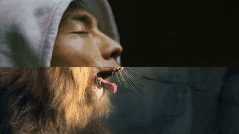 These Combined GIFs Will Blow Your Mind by Reaction GIFs | GIPHY