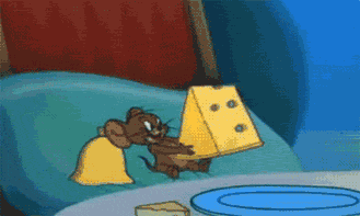 329px x 197px - Cheese GIFs - Get the best GIF on GIPHY