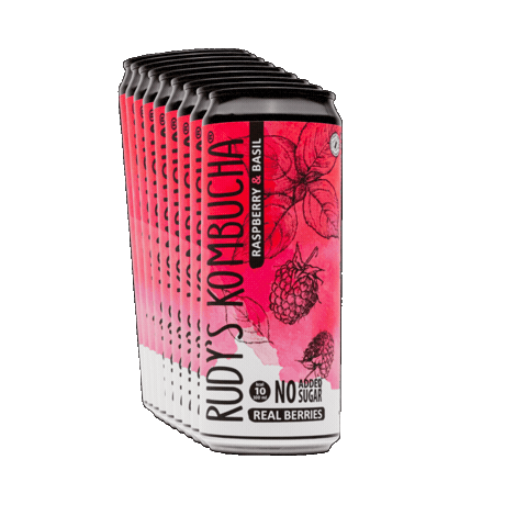 Fermented Tea Sticker by rudyskombucha