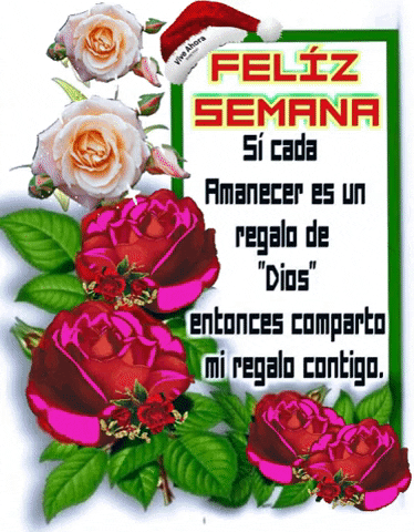 Felizsemana GIF