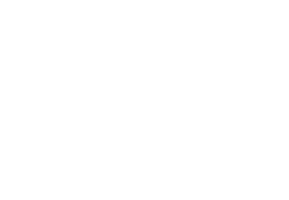 Bro Donut Sticker by Bigfoot Donuts