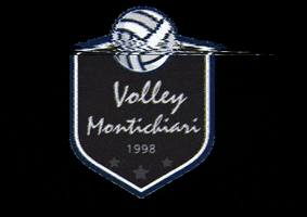 Volley Montichiari GIF