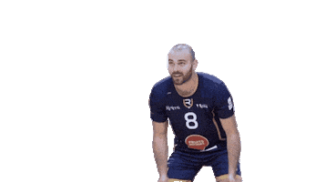 Volleyball Leray Sticker by Reims Volley 51
