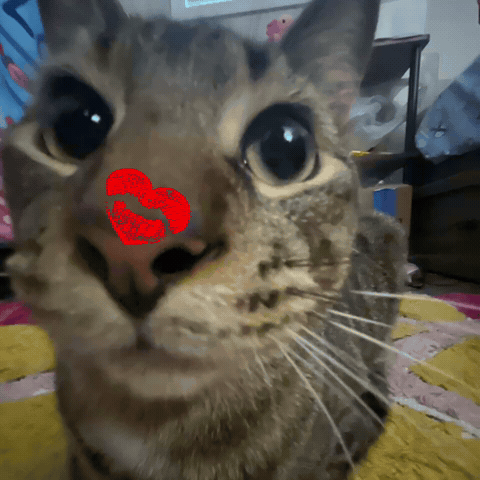 Pickles GIF