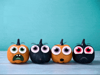 Pumpkin-animation GIFs - Get the best GIF on GIPHY Pumpkin-animation GIFs - Get the best GIF on GIPHY
