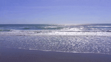 Into The Ocean Beach GIF by Yevbel