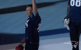 Celebrate Rob Gronkowski GIF by New England Patriots