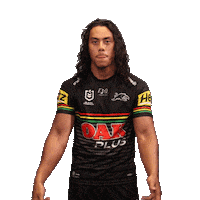 Nrl Sticker by Penrith Panthers