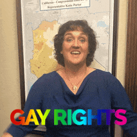 Pride Lgbt GIF by Rep. Katie Porter