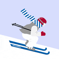 Ski Skiing GIF by Ötztal Tourismus
