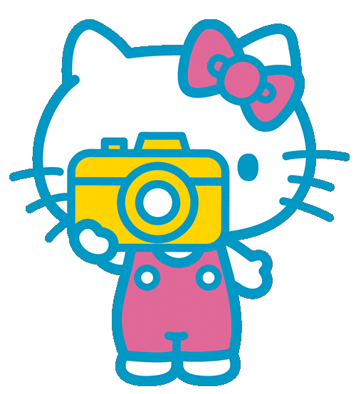 Picture Photography Sticker By Hello Kitty For Ios Android Giphy