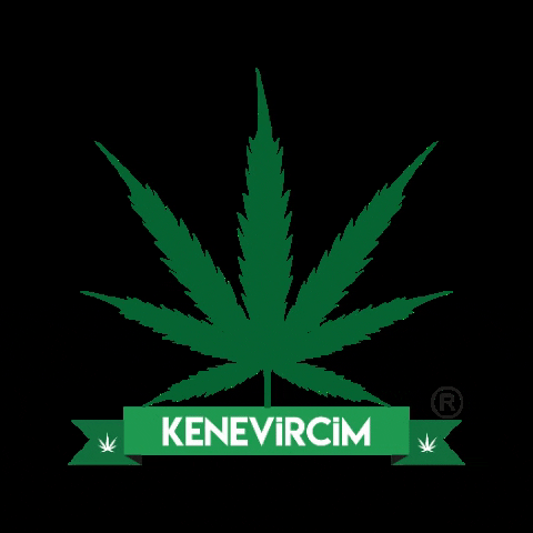 Kenevircim GIF