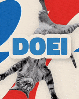 holland dag GIF by Q-dance