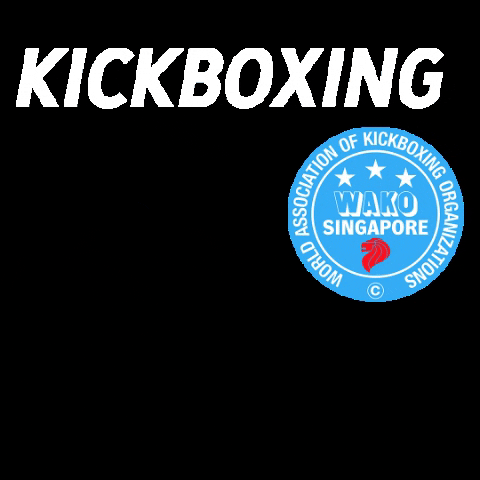 activered certification level1 wakosingapore kickboxingcoach GIF