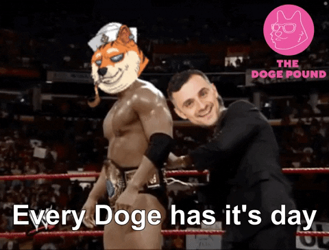 Gary V Dogecoin GIF by The Doge Pound thumbnail
