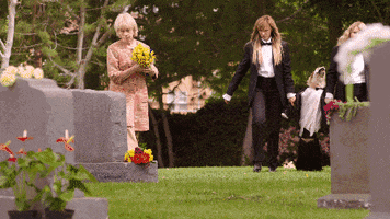 comedy central flowers GIF by Idiotsitter