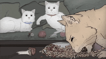 season 1 cats GIF by Animals