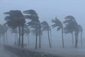 Storm Hurricane GIF