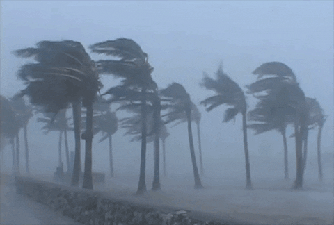 Risultato immagini per hurricane gif